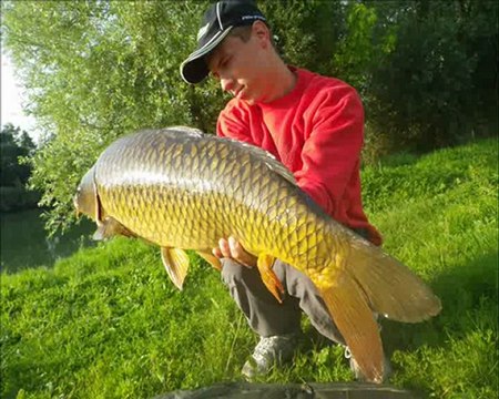 Best of 2012 carpes