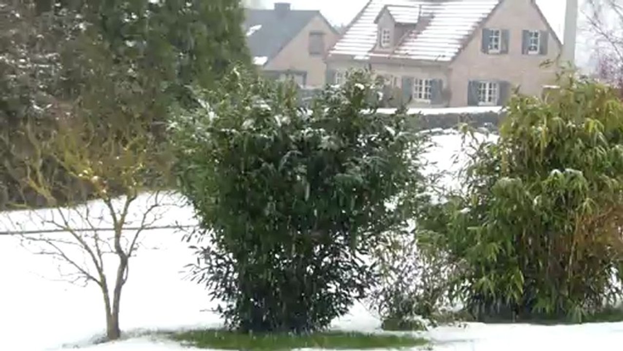 Jambe-Erpent ce 25/02/2013 à 17h