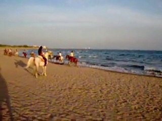 film ranch fumat totem mobile