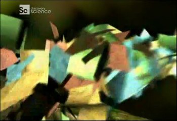 Tuhaf Bağlantılar-Uçtu Uçtu Kurbağa Uçtu