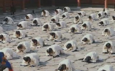 썬시티카지노 ♥vip933.com♥