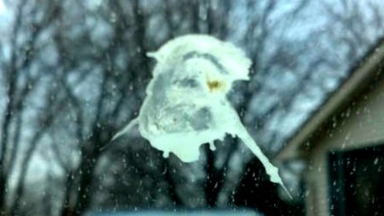 Man Sees Jesus in Bird Poop