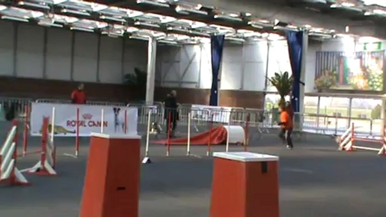 Baïla inter régional Jumping 2