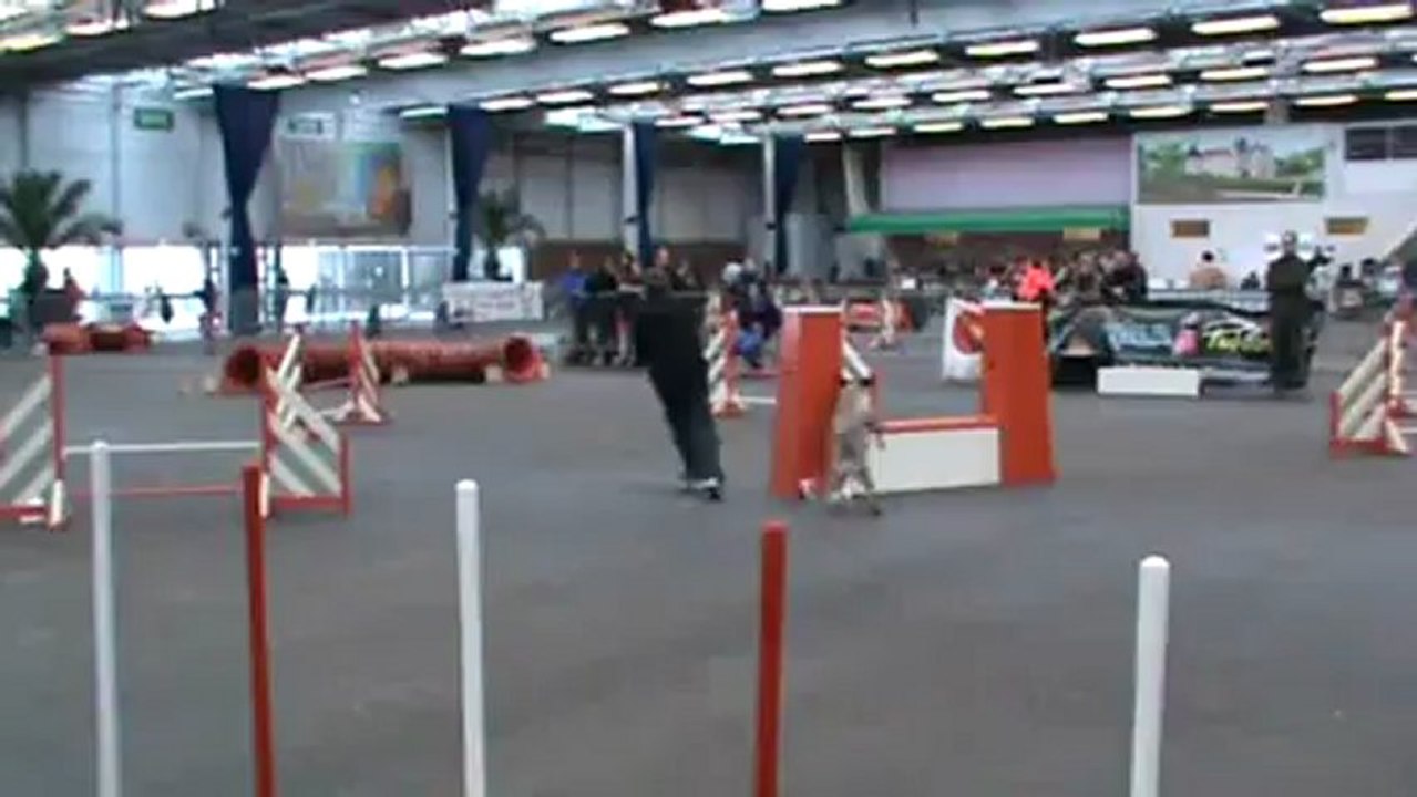 Baïla Jumping + Lisieux 24 02