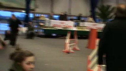 Chips 3è degré Lisieux 24 02 2