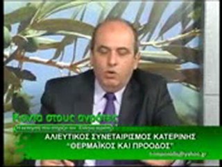 ΜΕΓΚΑΣ:ΟΙ ΕΡΑΣΙΤΕΧΝΕΣ ΨΑΡΑΔΕΣ ΚΑΝΟΥΝ ΤΗ ΖΗΜΙΑ.....
