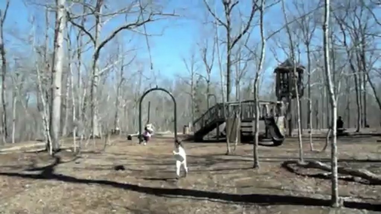 zip line and swings
