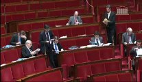 Francois de Mazieres - Article 14 -  Projet de loi relatif à l'élection des conseillers departementaux des conseillers municipaux et des délégués communautaires, et modification du calendrier électoral