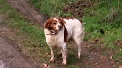 Métropolitain N°22 - Le Vigen