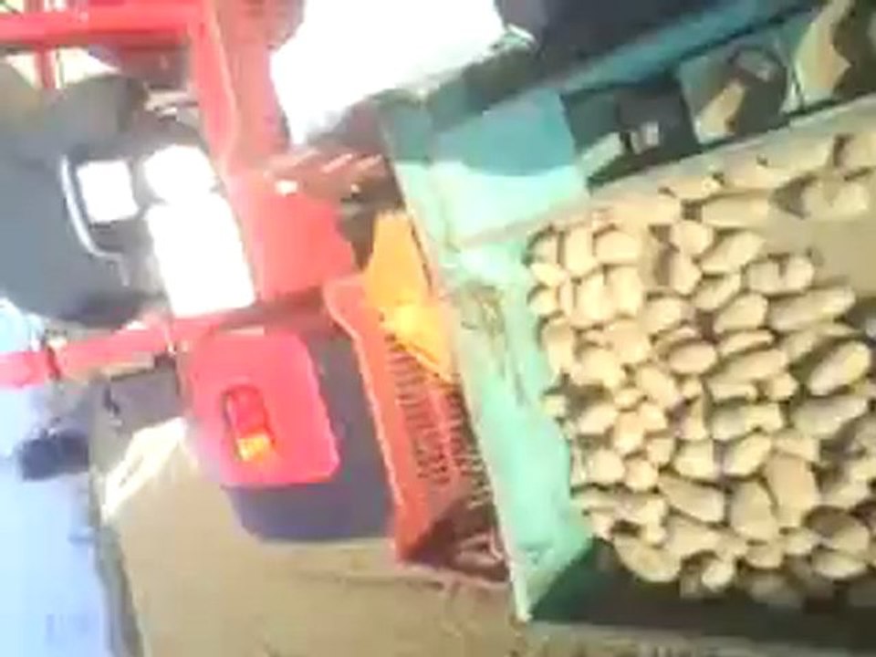 plantation en action