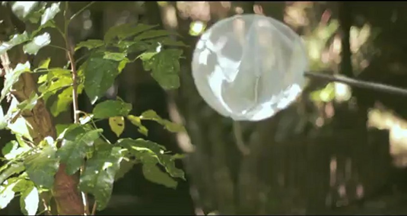 AVK - Panasonic : Capture the Sound