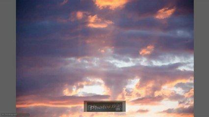 Adobe Bridge CS5 et CS6  (Trier vos photos).