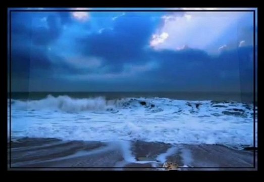 SEYDUNA TÜRKÜLERİ - SU BAKIŞLI GULE