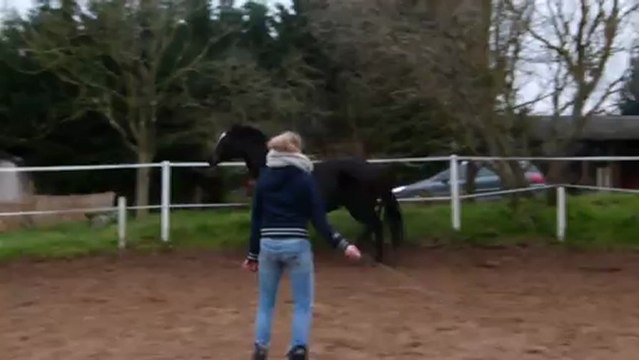 Quelques nouveautés...