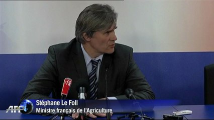 Cheval: Bruxelles va accélérer ses travaux sur l'étiquetage