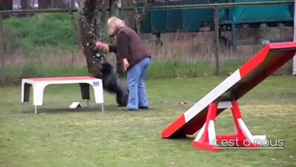 24 2 2013 concours bianca la teste