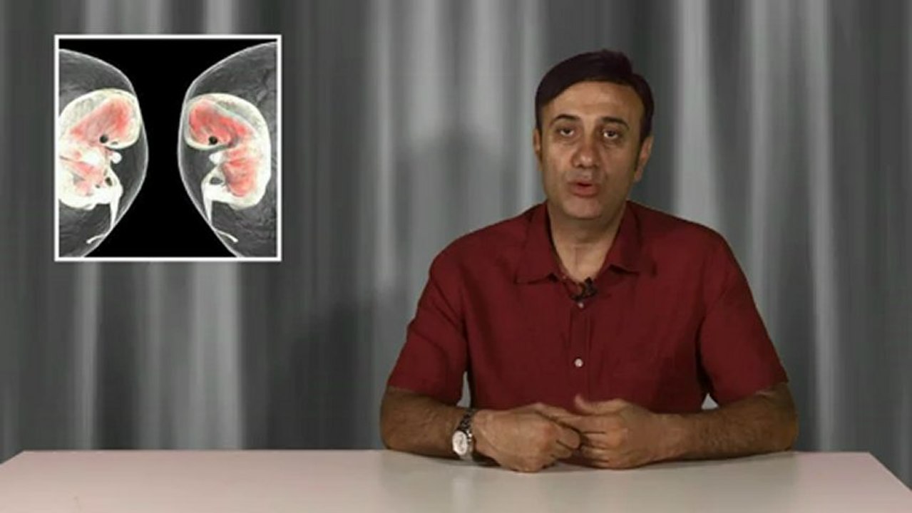 Tüp Bebekte IVM (in vitro matürasyon, olgunlaşmamış yumurtaların vücut dışında olgunlaştırılması)Yöntemi