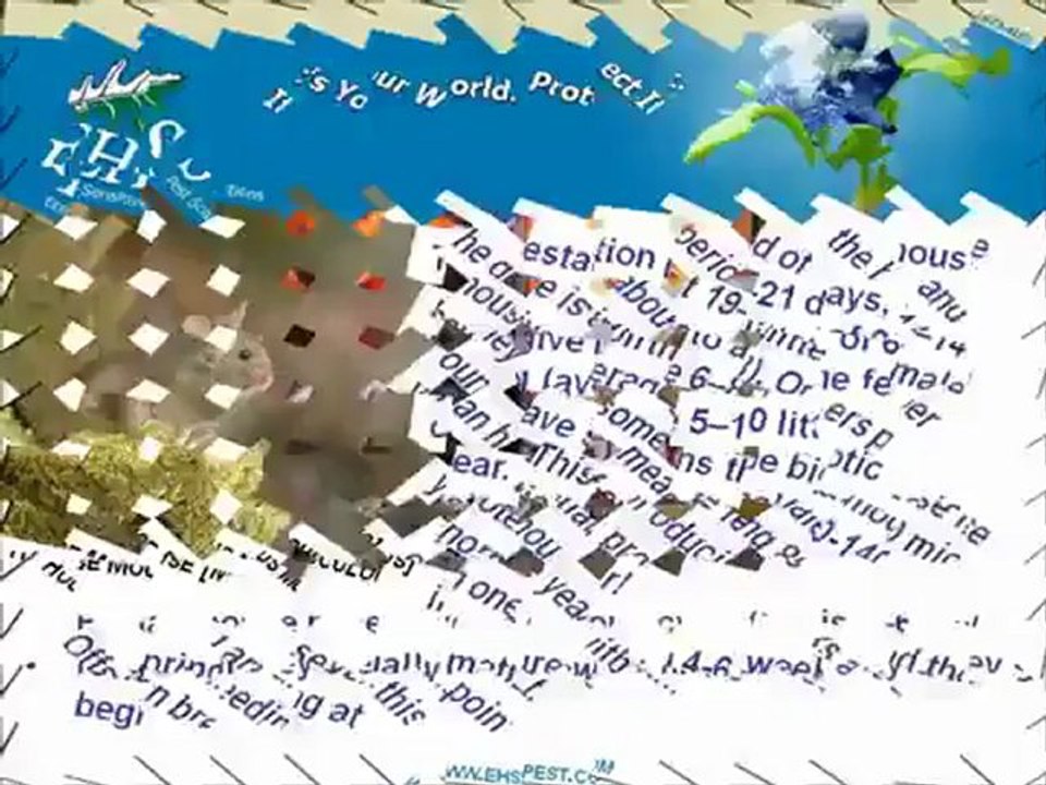 인터넷블랙잭 ✹ ✺✻B­A­C­6­6­6­.ＣＯＭ ✹ ✺✻인터넷블랙잭