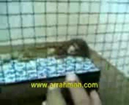 월드카지노✦✦✦✦✦QCH138.COM✦✦✦✦✦ 망고팅