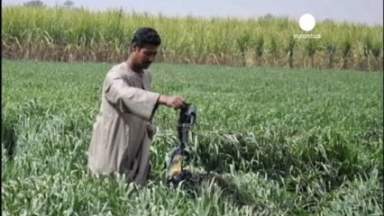 Mısır'daki balon kazasında bilanço 19 ölü