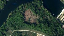 Vue aérienne du désastre forestier aux étangs de la Minière Guyancourt