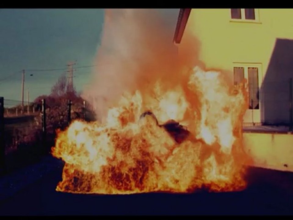 Bande Annonce Alpha-Oméga