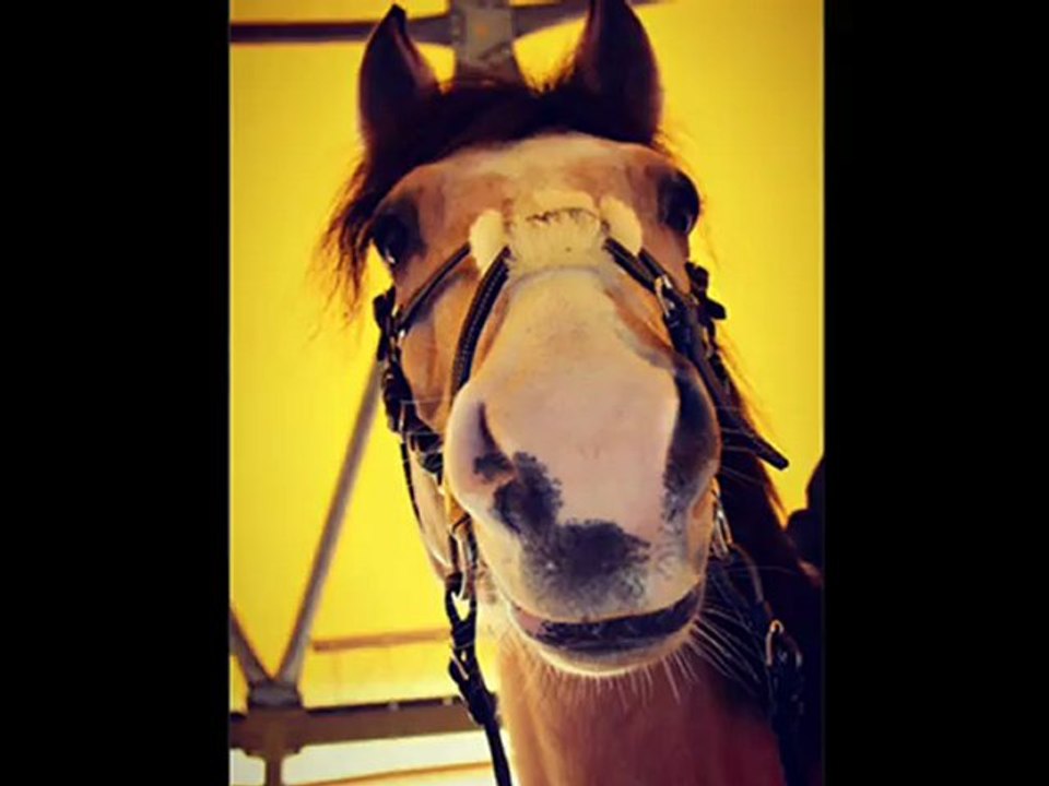 2 ans...1 Mars 2011 ,1 Mars 2013 Okay...