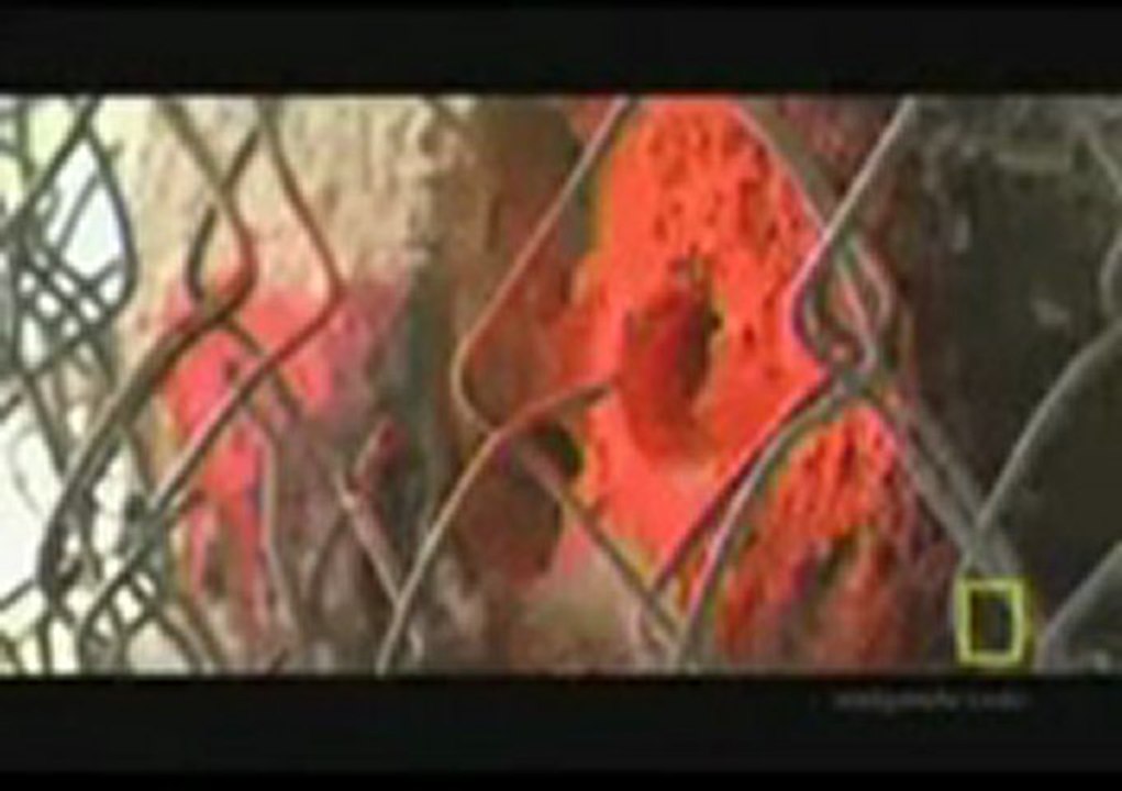 Debunking a controlled demolition at the WTC