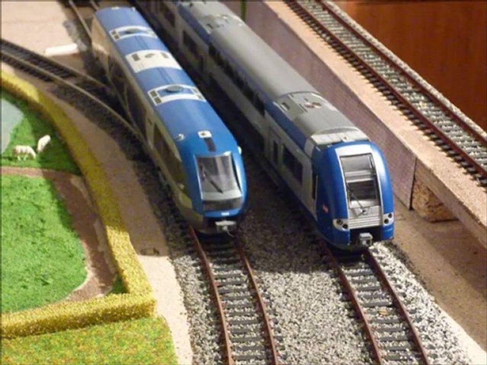 ter