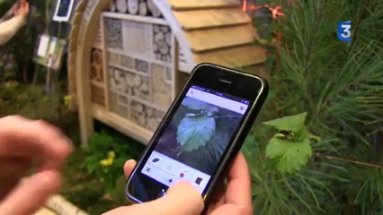 SIA 2013 : demo application botanique : feuille