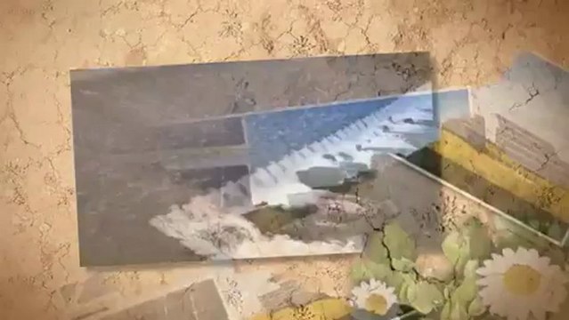 Green Trust Technologies (301) 585-5441