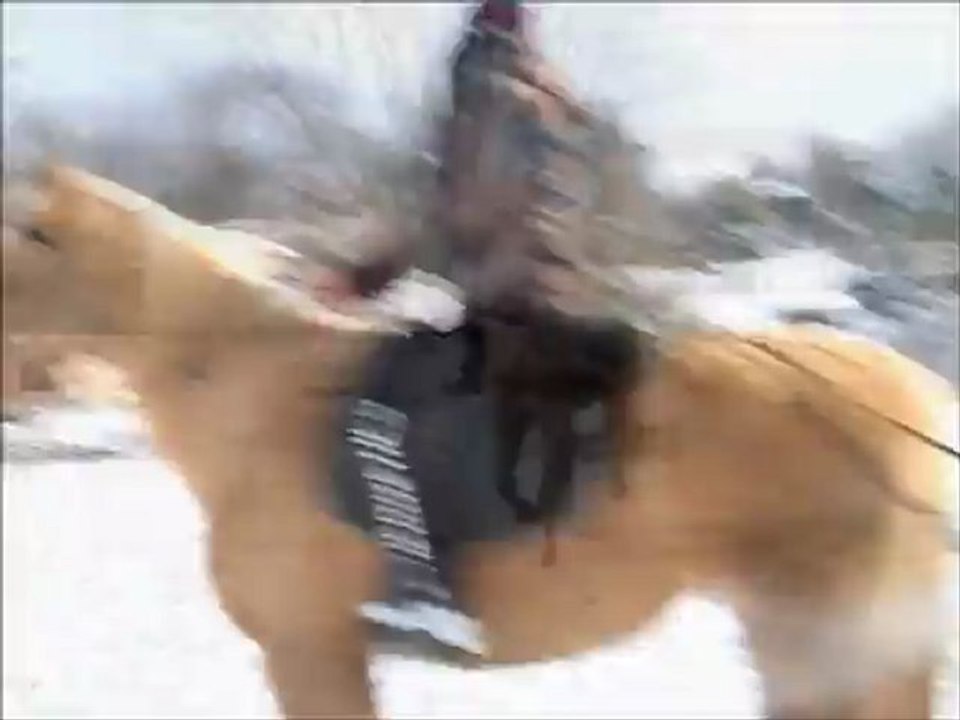 Luge-ride février 2013.