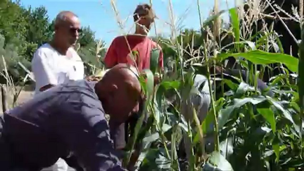 Kokkino Nero Septembre 2012-Σεπτέμβριος Ελλάδα Grèce