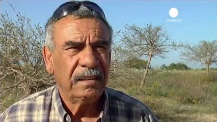 Striscia di Gaza: razzo su Israele per la morte del...