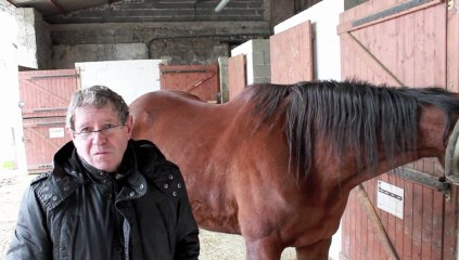 Bordères-sur-L'Echez : Du gîte haut de gamme au baby poney