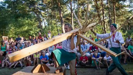 Timber - The Primitives