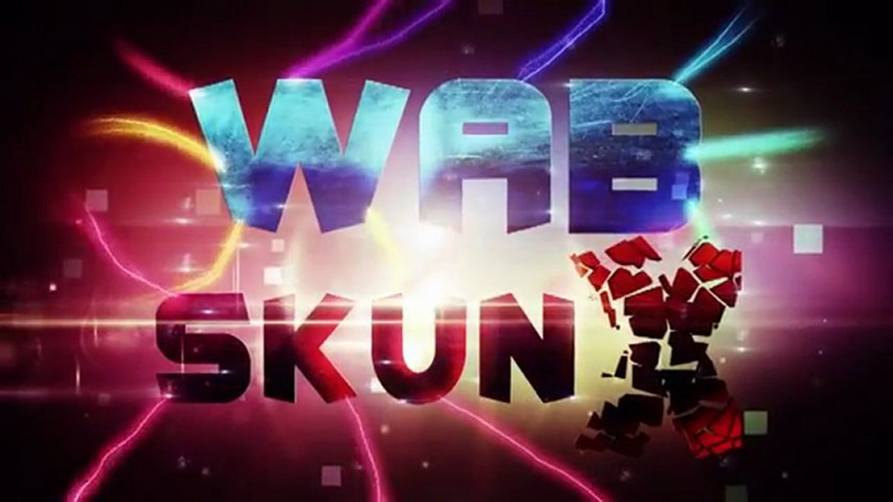 REMIX WAB et The SkunX 2013  Walibi Squad