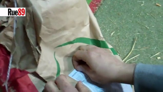 OGM et viande de bœuf : le gros mensonge de Dominique Langlois