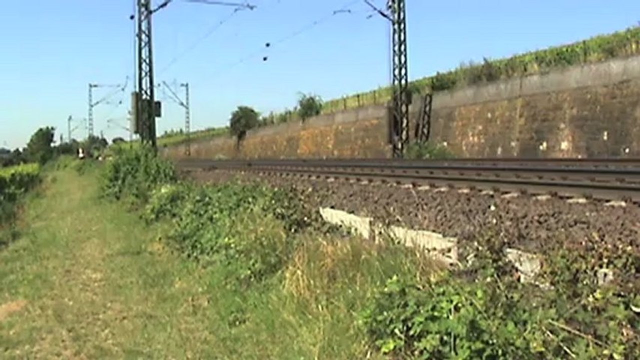 Züge bei Hattenheim, ERS 185, 155, Robel GKW 305, 152, 145, 2x Railion 185, 3x 427, 428