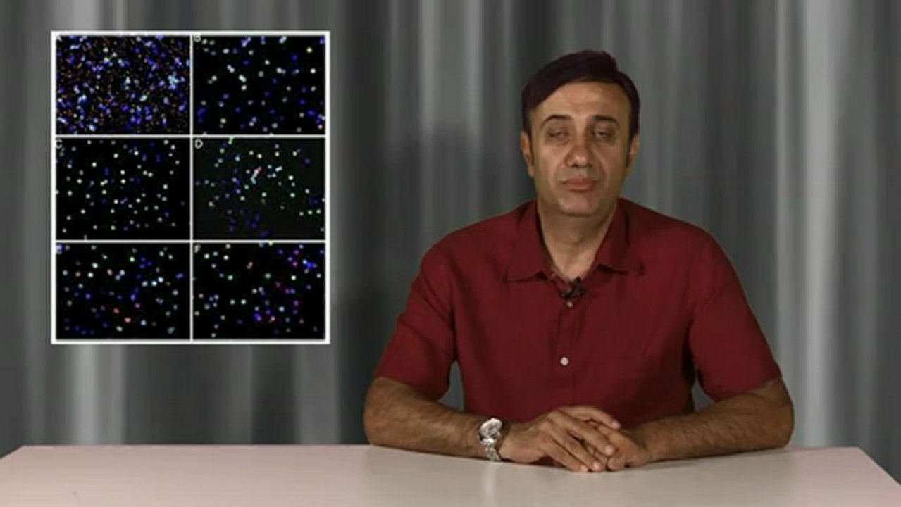 Gebelik aşısı (babaya ait paternal lenfosit aşısı) hangi tüp bebek tedavilerinde uygulanır?