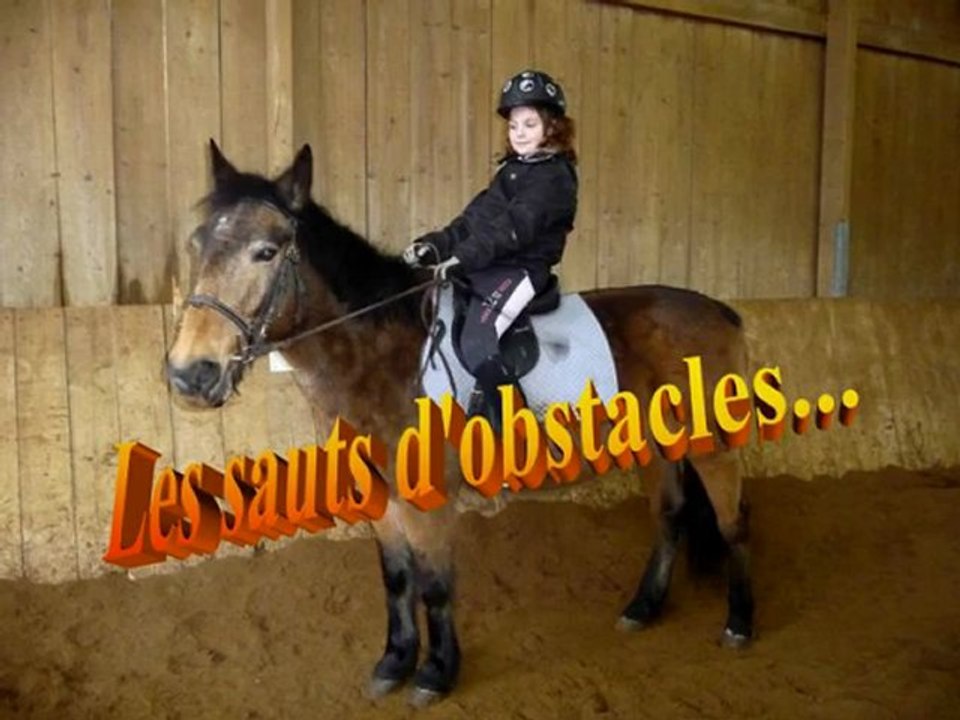 Sauts d'obstacles
