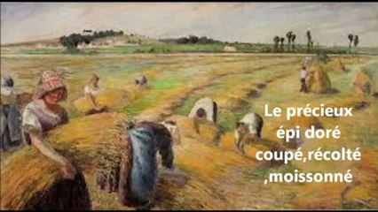 Pleuvoir c'est ma prière un poeme ecrit par Lamia Merzougui