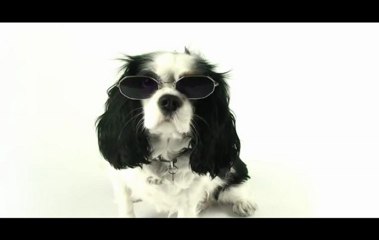 Chronicles of M - Book 1 Commercial 1