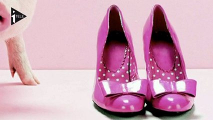 DSK : le livre de Marcela Iacub en librairie, mais avec un encart