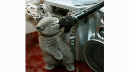 un petit pouce qui bouge