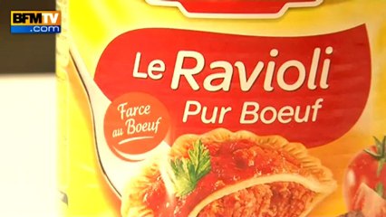 Viande de cheval : le scandale ne fait que commencer - 27/02