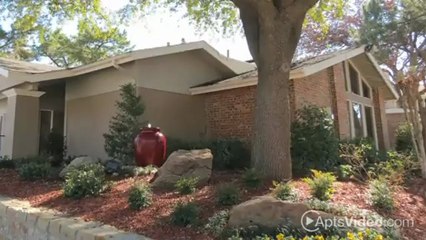 Springtree Apartments in Arlington, TX - ForRent.com