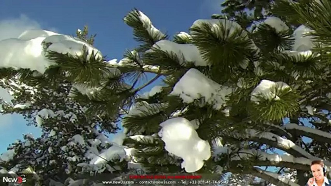 Service de Création Rich Média pour Positionnement de Leader avec Référencement Web SEO by New3S