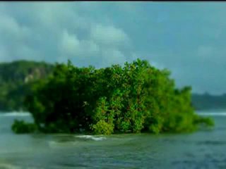 Kur-an-ı Kerim Türkçe Meali 076insan Süresi