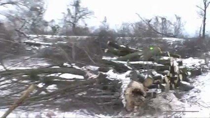 Zbiornik Racibórz Dolny: wycinka tysięcy drzew za 147 zł!